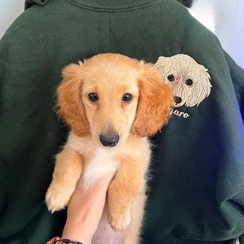 Sweatshirt with custom pet face and pet name. Custom embroidered