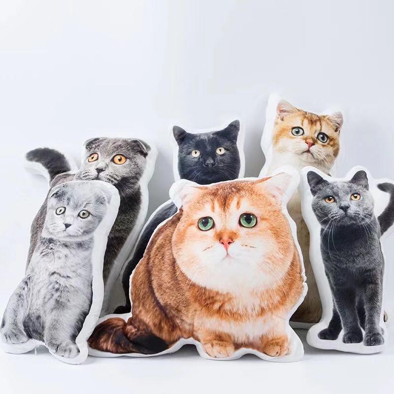 Custom Funny Cat Face Pillow