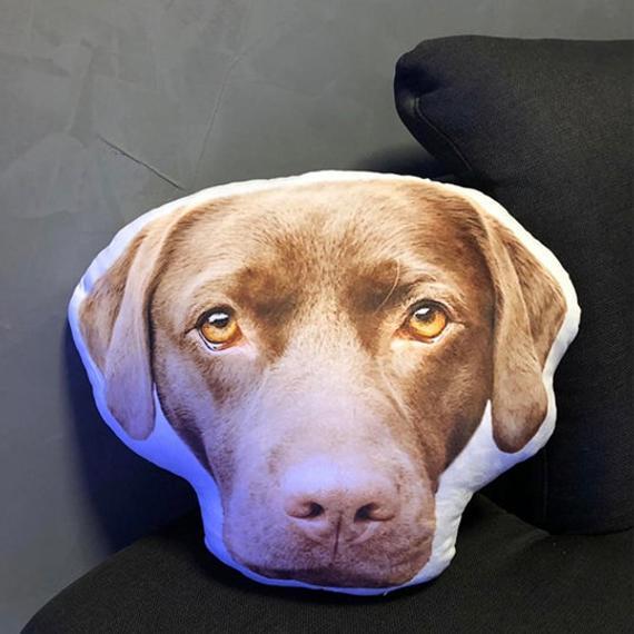 Custom Funny Dog Face Pillow