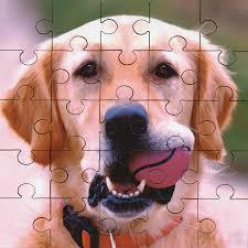 Custom Photo Jigsaw Puzzle Pet Love Gift 35-1500 Pieces